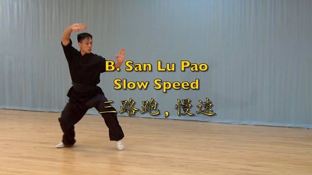 Shaolin Kung Fu Advanced 1.25