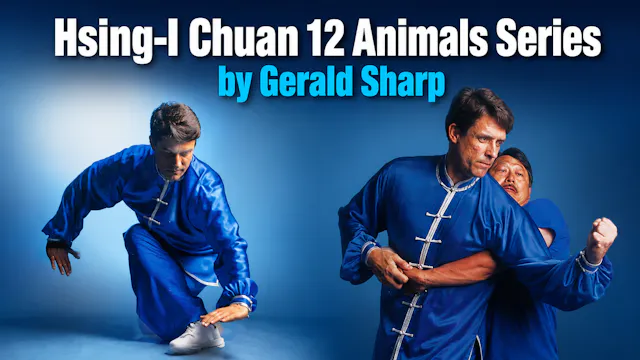 Hsing-I Chuan 12 Animals Series by Gerald Sharp