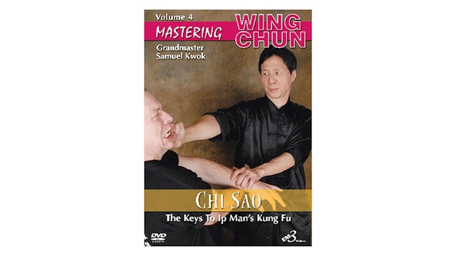Mastering Wing Chun Keys to Ip Man's Kung Fu Vol 4