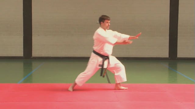 Shotokan & Shito Ryu Karate Katas From White Belt up to Black Belt VPM-17