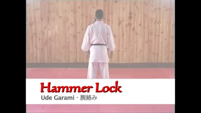 6 Hammer Lock