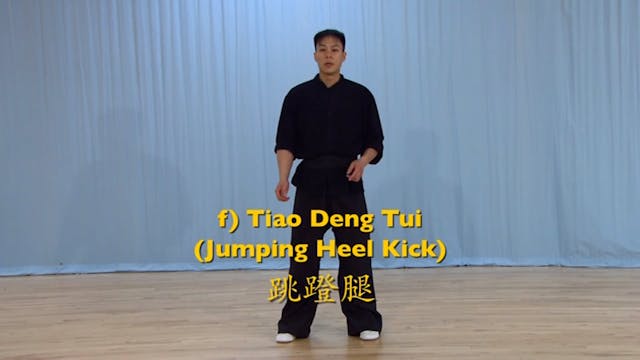 Shaolin Kung Fu Advanced 2 - 56