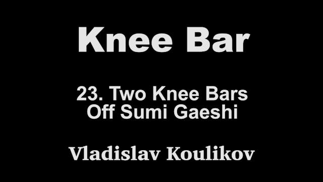 23. Two Knee Bars off Sumi Gaeshi - V...