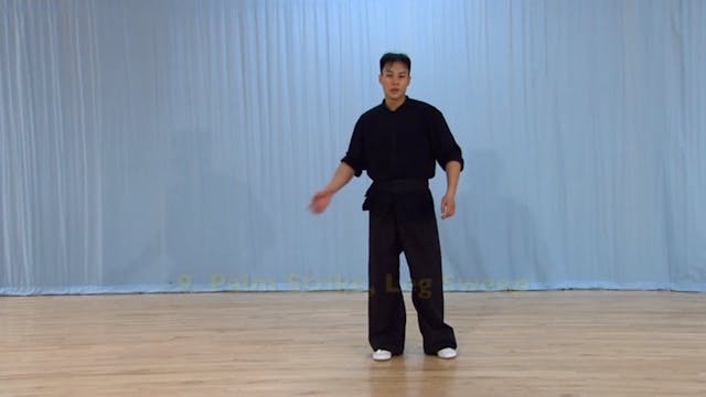 Shaolin Kung Fu Advanced 2 - 72