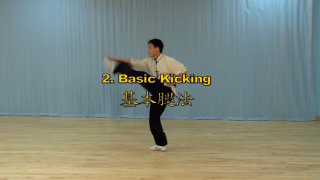 Shaolin Kung Fu Long Fist Int - 5