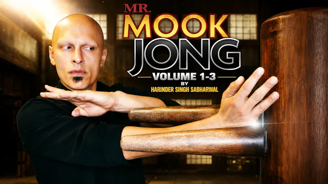 Mr Mook Jong Wooden Dummy 1-3 Harinder Sabharwal