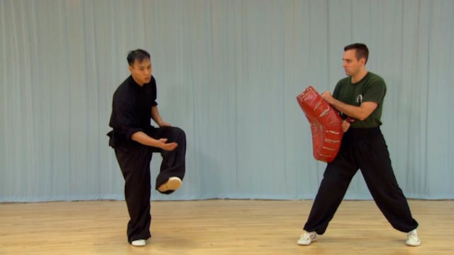Shaolin Kung Fu Advanced 1.43