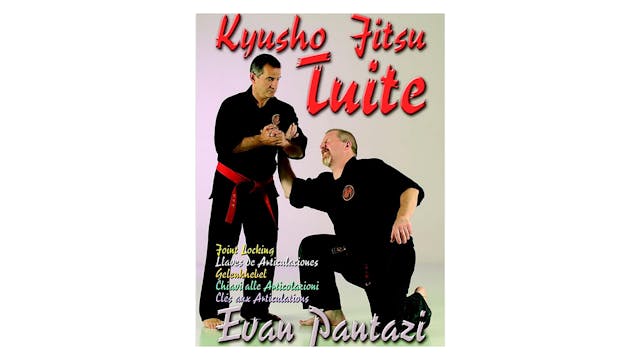 Kyusho Jitsu Tuite Joint Locking by Evan Pantazi