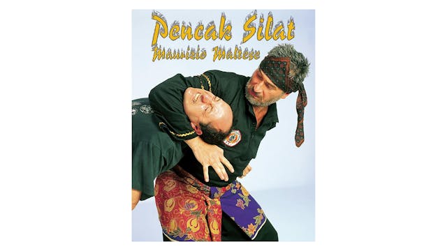 Pencak Silat by Mauricio Maltese