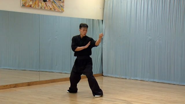 Shaolin Kung Fu Advanced 1.6