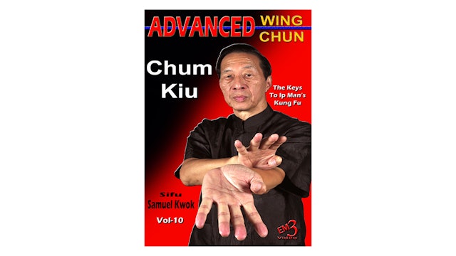 Advanced Wing Chun Keys to Ip Man's Kung Fu Vol 10