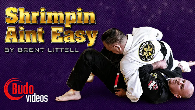 Shrimpin Ain't Easy by Brent Littell