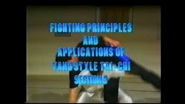 Combat Tai Chi Cheng 4