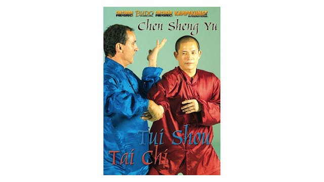 Tai Chi Chen Style Tui Shou with Chen Sheng Yu