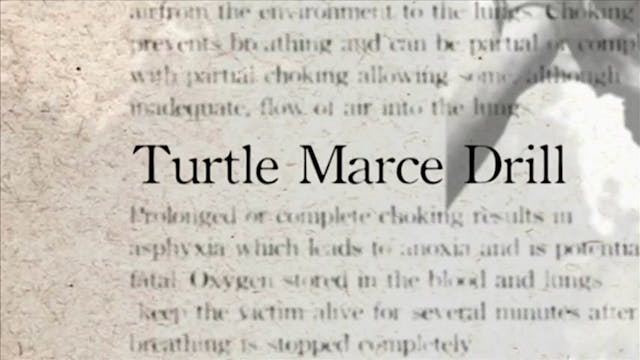 32 Turtle Marce Drill Darcepedia English Vol 1