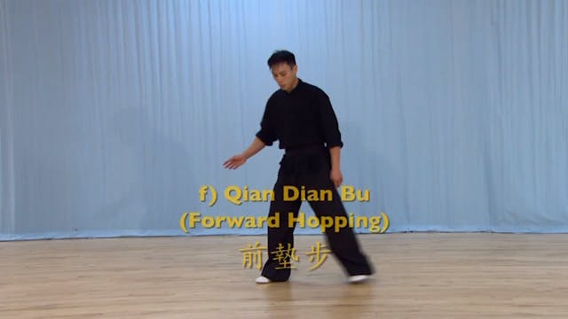 Shaolin Kung Fu Advanced 2 - 9