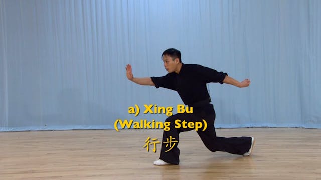 Shaolin Kung Fu Advanced 2 - 4