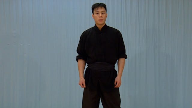 Shaolin Kung Fu Advanced 1.5