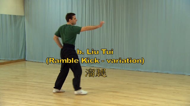 Shaolin Kung Fu Long Fist Int - 46