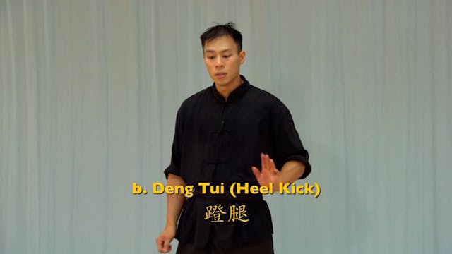 Shaolin Kung Fu Advanced 1.40