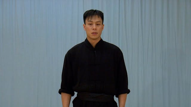 Shaolin Kung Fu Advanced 1.31