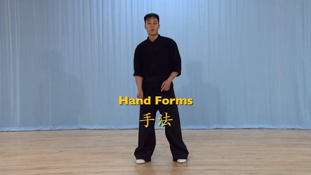 Shaolin Kung Fu Advanced 2 - 58