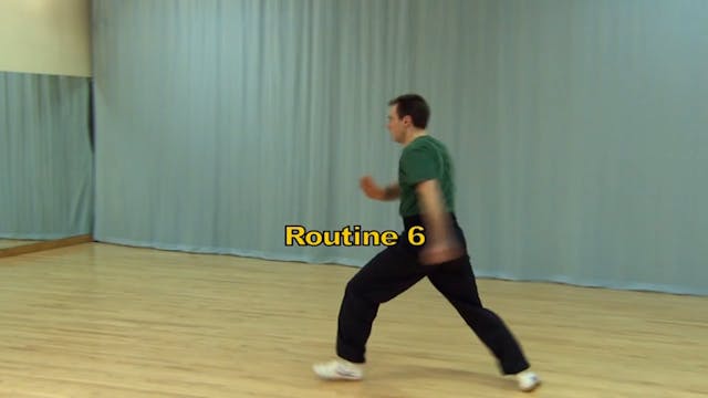 Shaolin Kung Fu Long Fist Int - 54