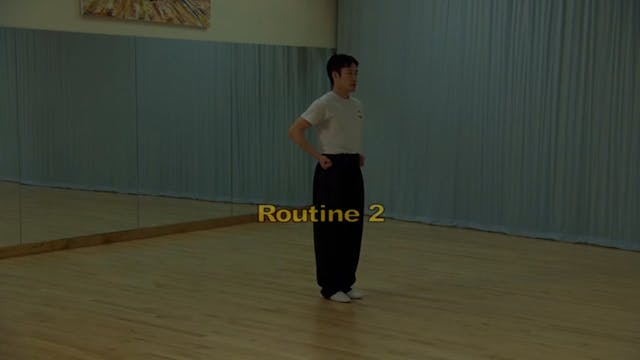 Shaolin Kung Fu Long Fist Int - 17