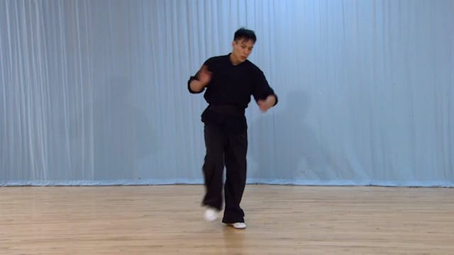 Shaolin Kung Fu Advanced 2 - 22