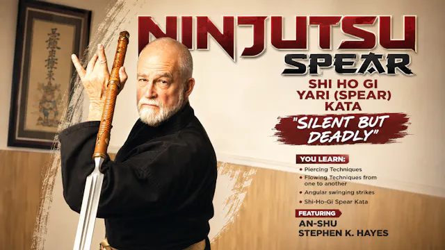 Ninjutsu Secrets 1: Yari (Spear) Stephen Hayes