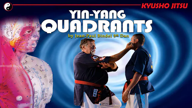 Kyusho-Jitsu Yin-Yang Quadrants