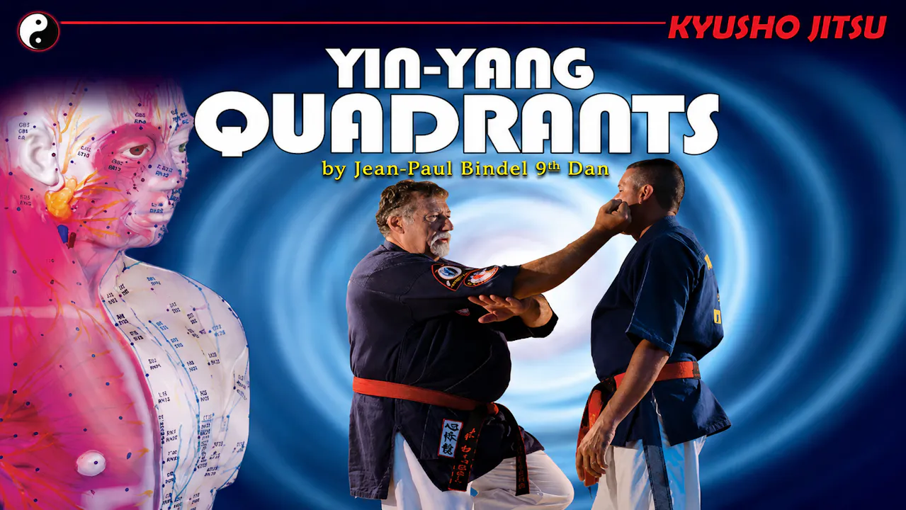 Kyusho-Jitsu Yin-Yang Quadrants
