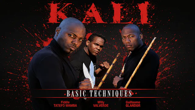 Kali Basic Techniques