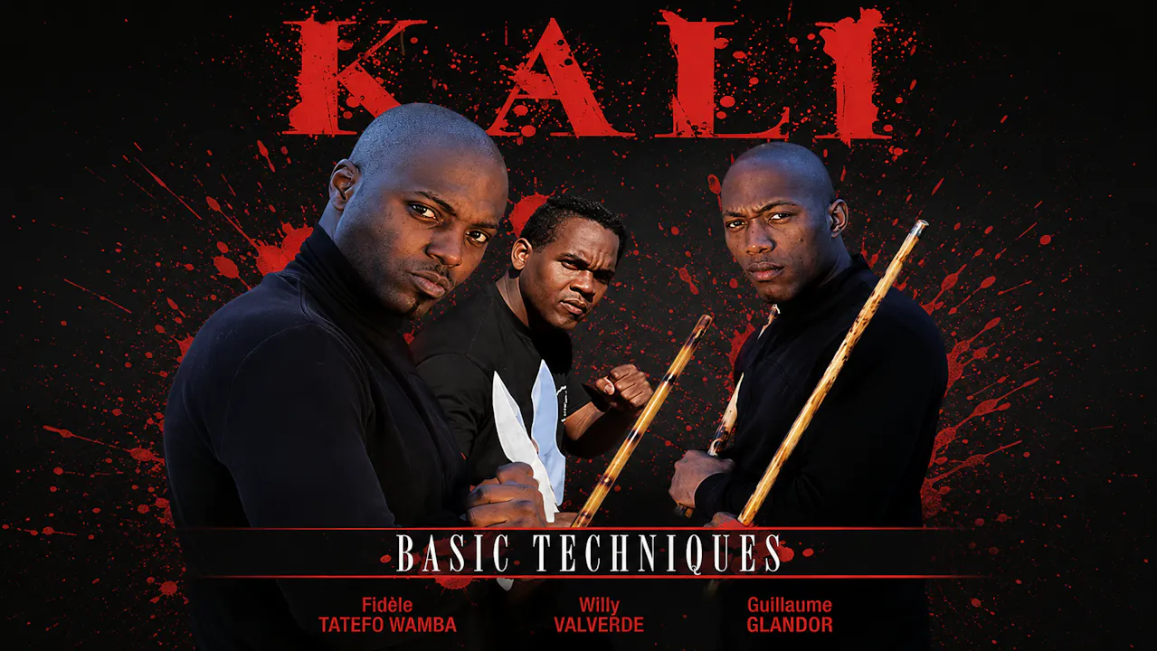 Kali Basic Techniques