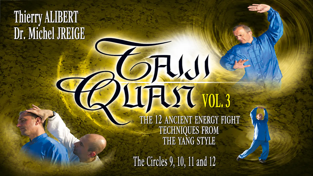 Yang Style Tai Chi 12 Fight Techniques Vol 3
