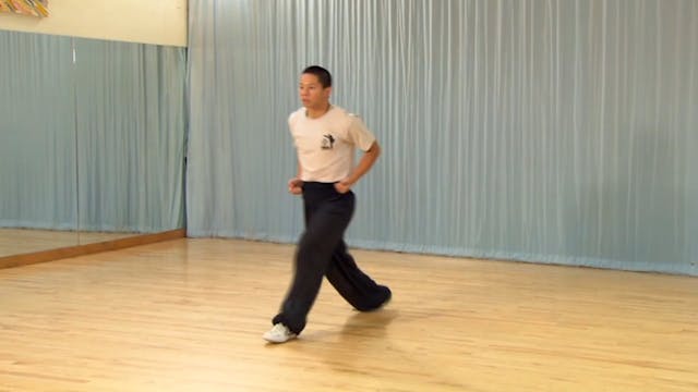 Shaolin Kung Fu Advanced 1.71