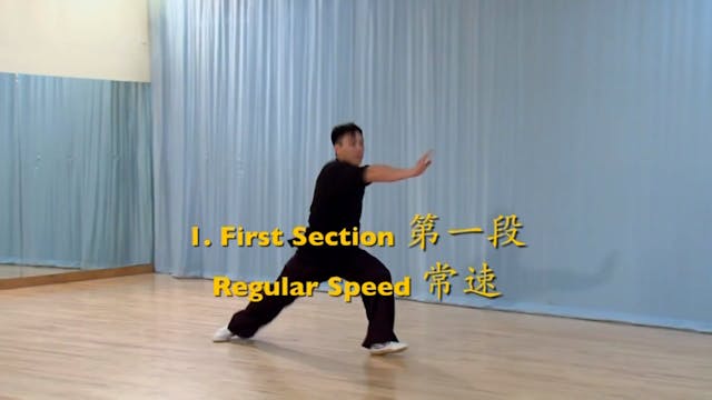 Shaolin Kung Fu Advanced 2 - 75