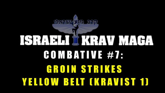 Krav Maga Combatives 1.9