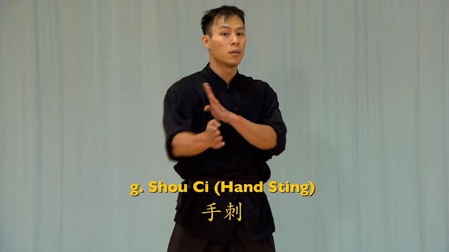 Shaolin Kung Fu Advanced 1.50