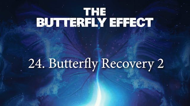 Butterfly Effect 24 Butterfly Recovery 2