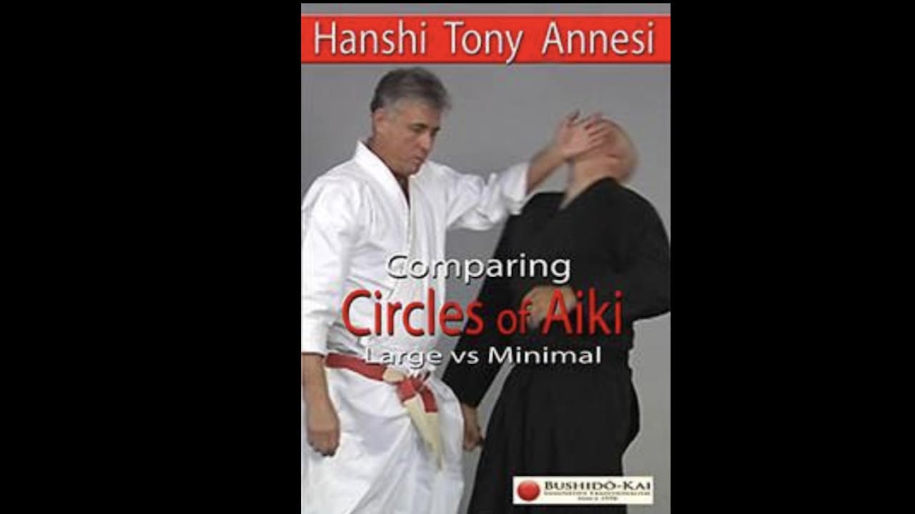 Comparing Circles of Aiki with Tony Annesi