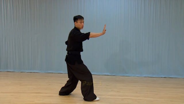 Shaolin Kung Fu Advanced 1.29