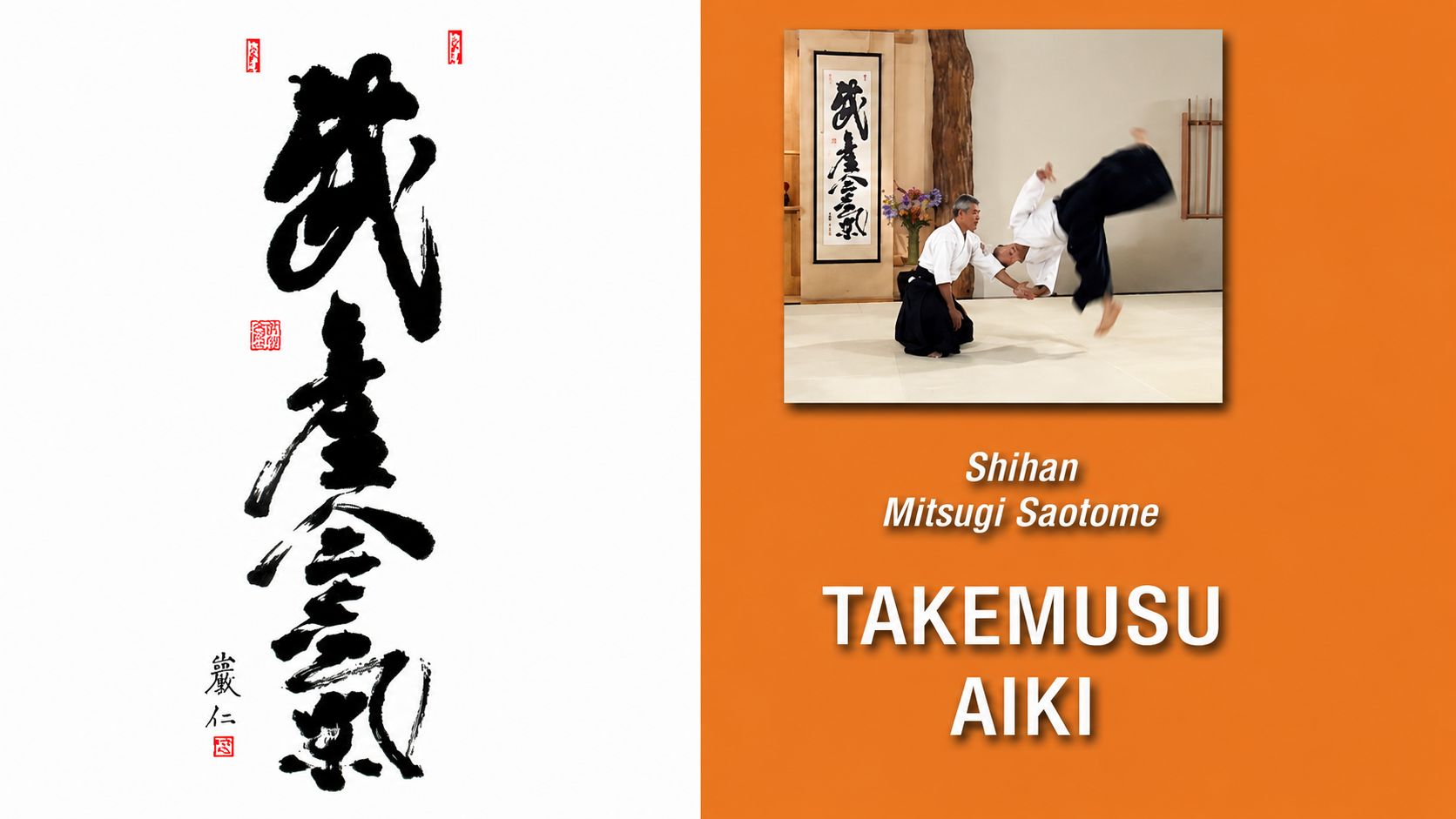 Takemusu Aiki with Mitsugi Saotome