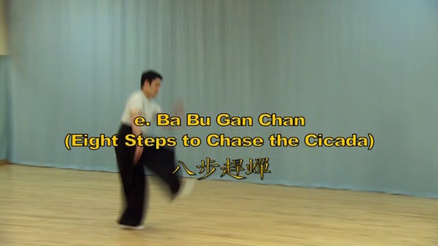 Shaolin Kung Fu Long Fist Int - 49