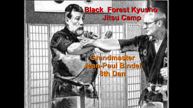 Kyusho-Jitsu Black Forest Camp 2009 VPM-64