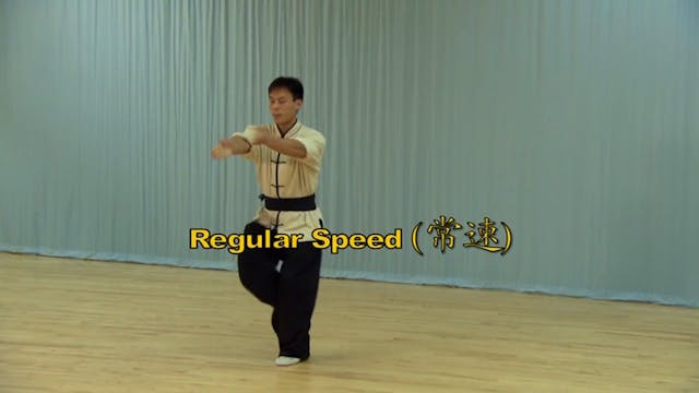 Shaolin Kung Fu Long Fist Int - 25