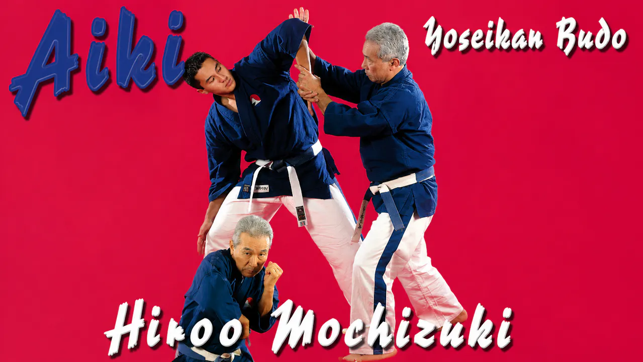 Aiki Yoseikan Budo with Hiroo Mochizuki