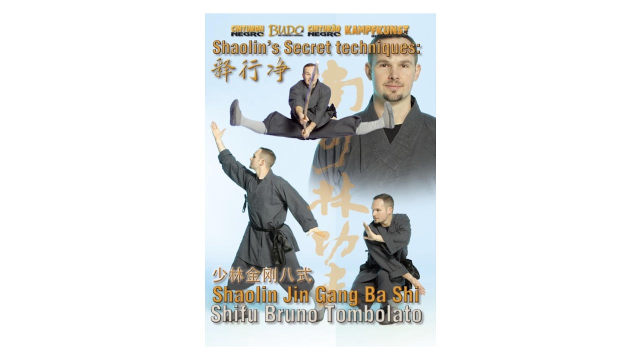 Shaolin Secret Techniques Jin Gang Ba Shi