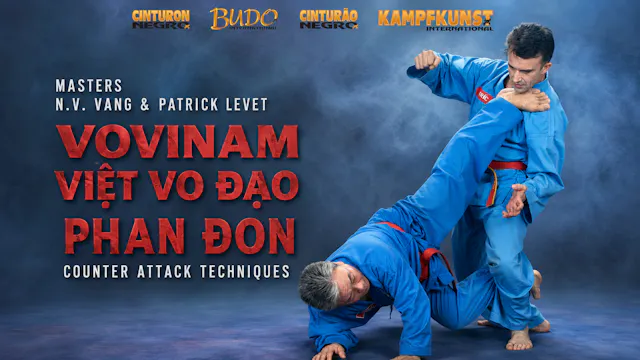 Viet Vo Dao Phan Don Counter Techniques