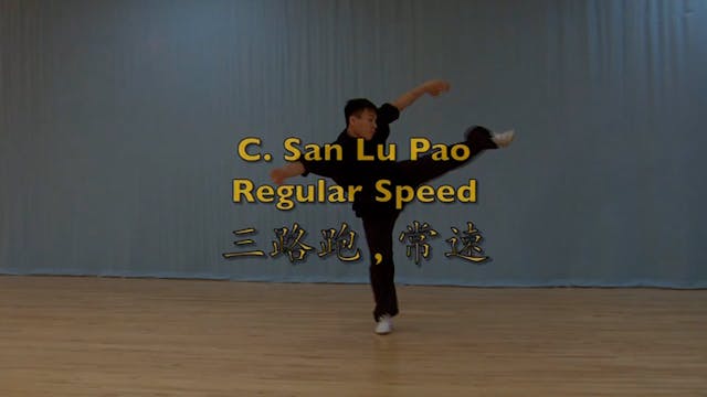 Shaolin Kung Fu Advanced 1.26